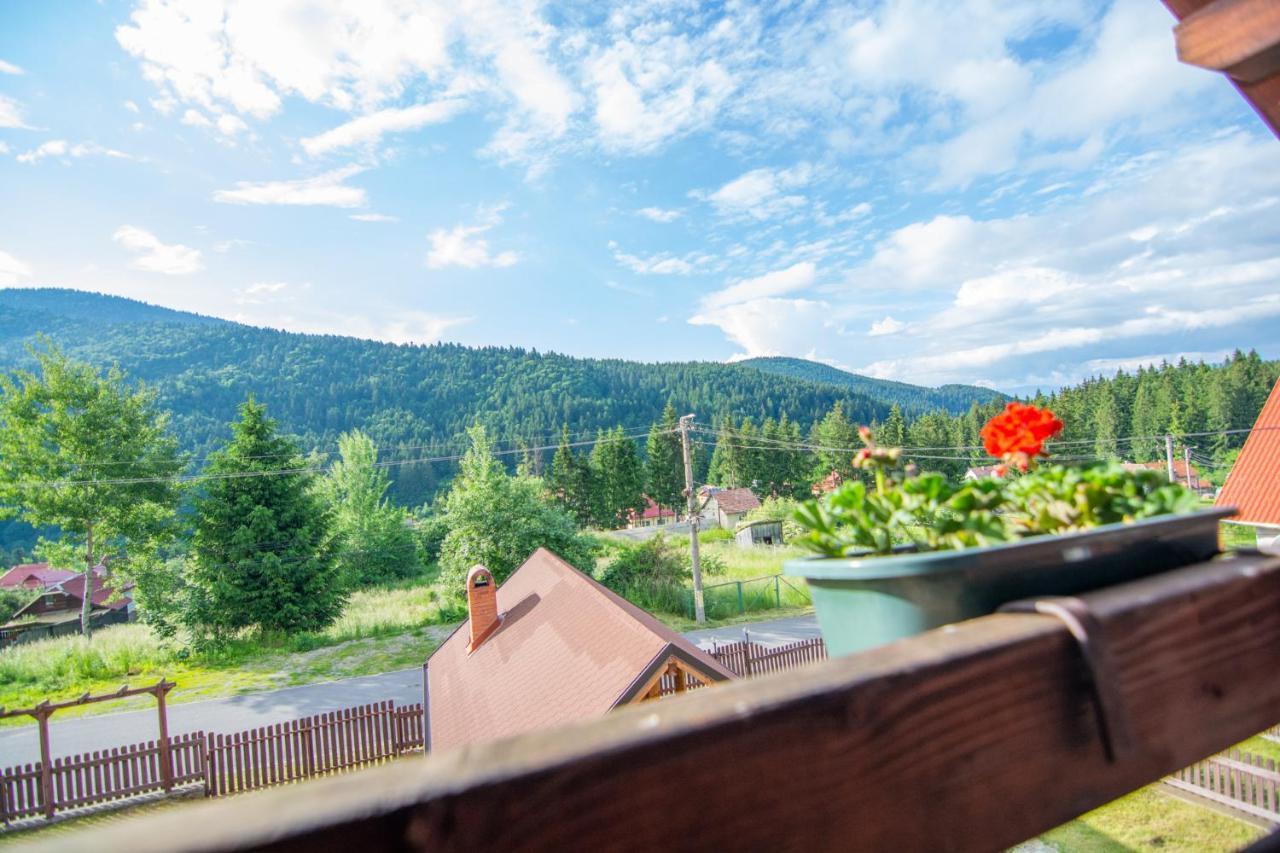 Silver Villa BaileTusnad Dış mekan fotoğraf