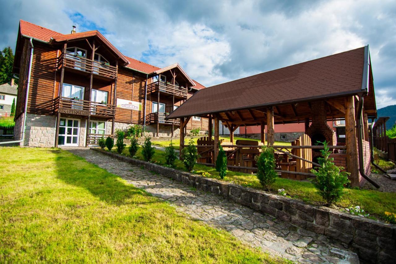 Silver Villa BaileTusnad Dış mekan fotoğraf