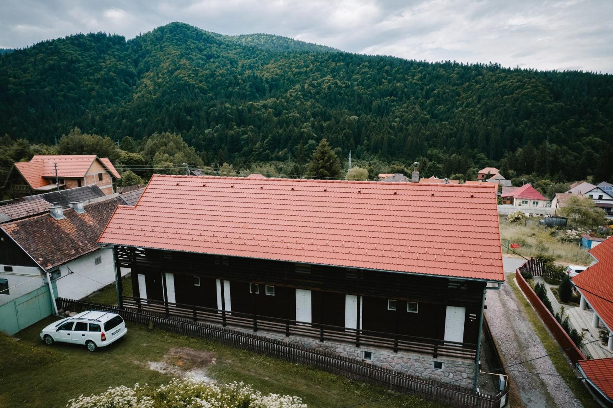 Silver Villa BaileTusnad Dış mekan fotoğraf