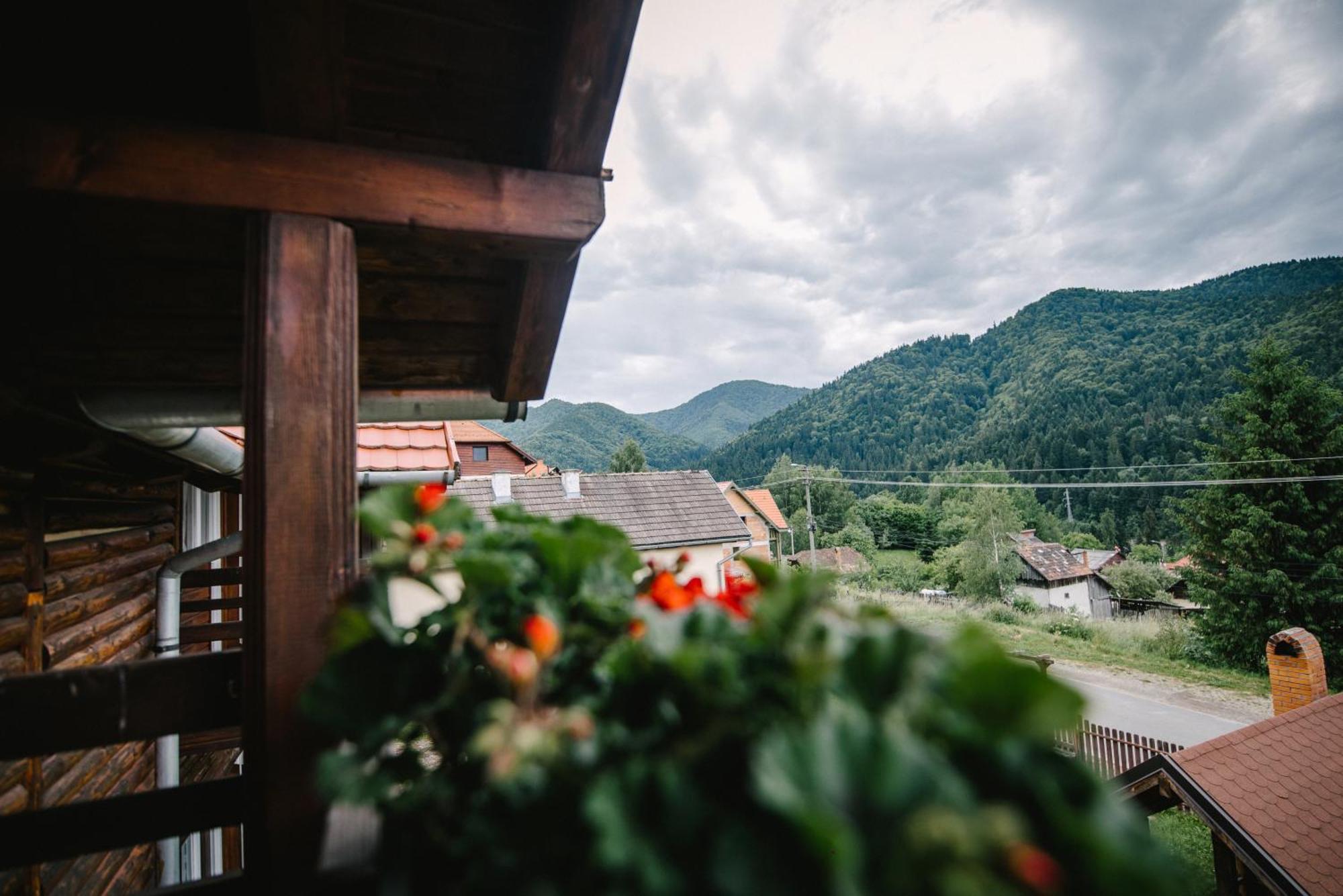 Silver Villa BaileTusnad Dış mekan fotoğraf